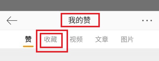 “我的赞”