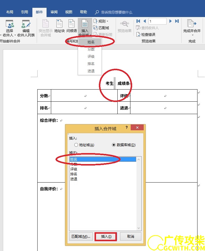 插入合并域