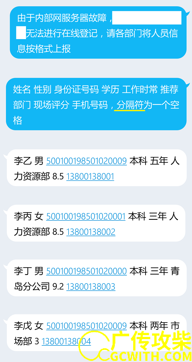 格式说明